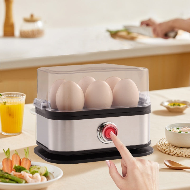 Stainless Steel Egg Boiler
