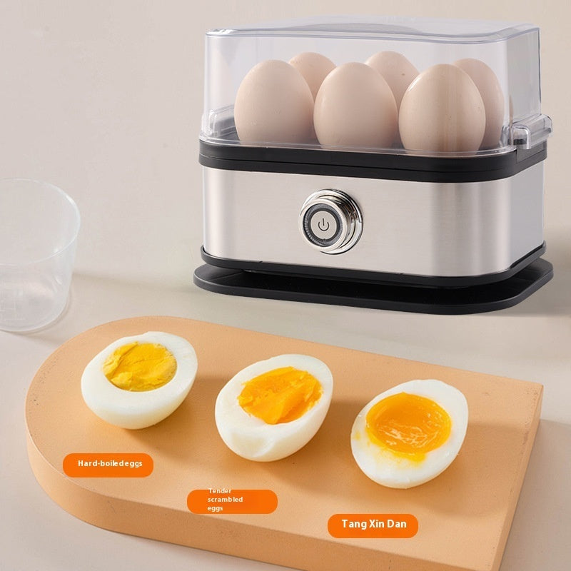 Stainless Steel Egg Boiler
